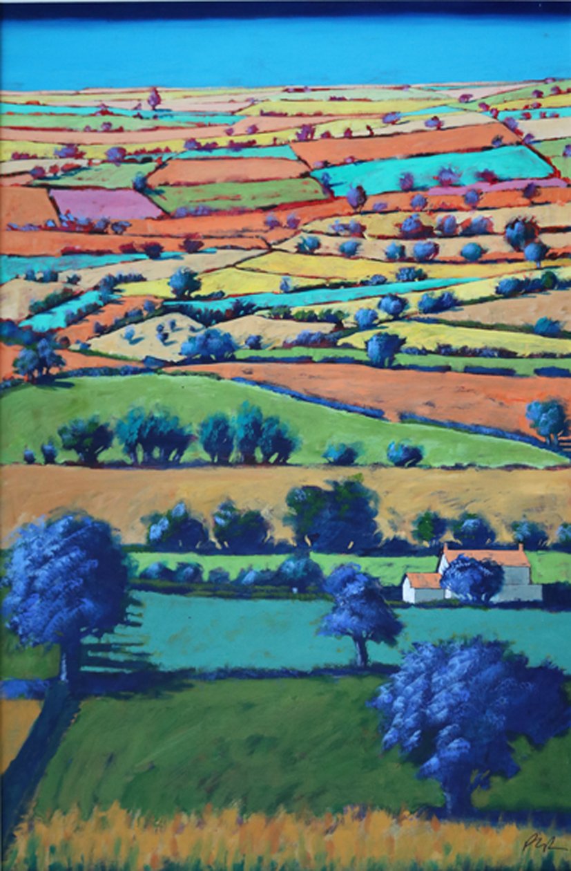 Devon II (akryl na pokładzie) autorstwa Paul Powis