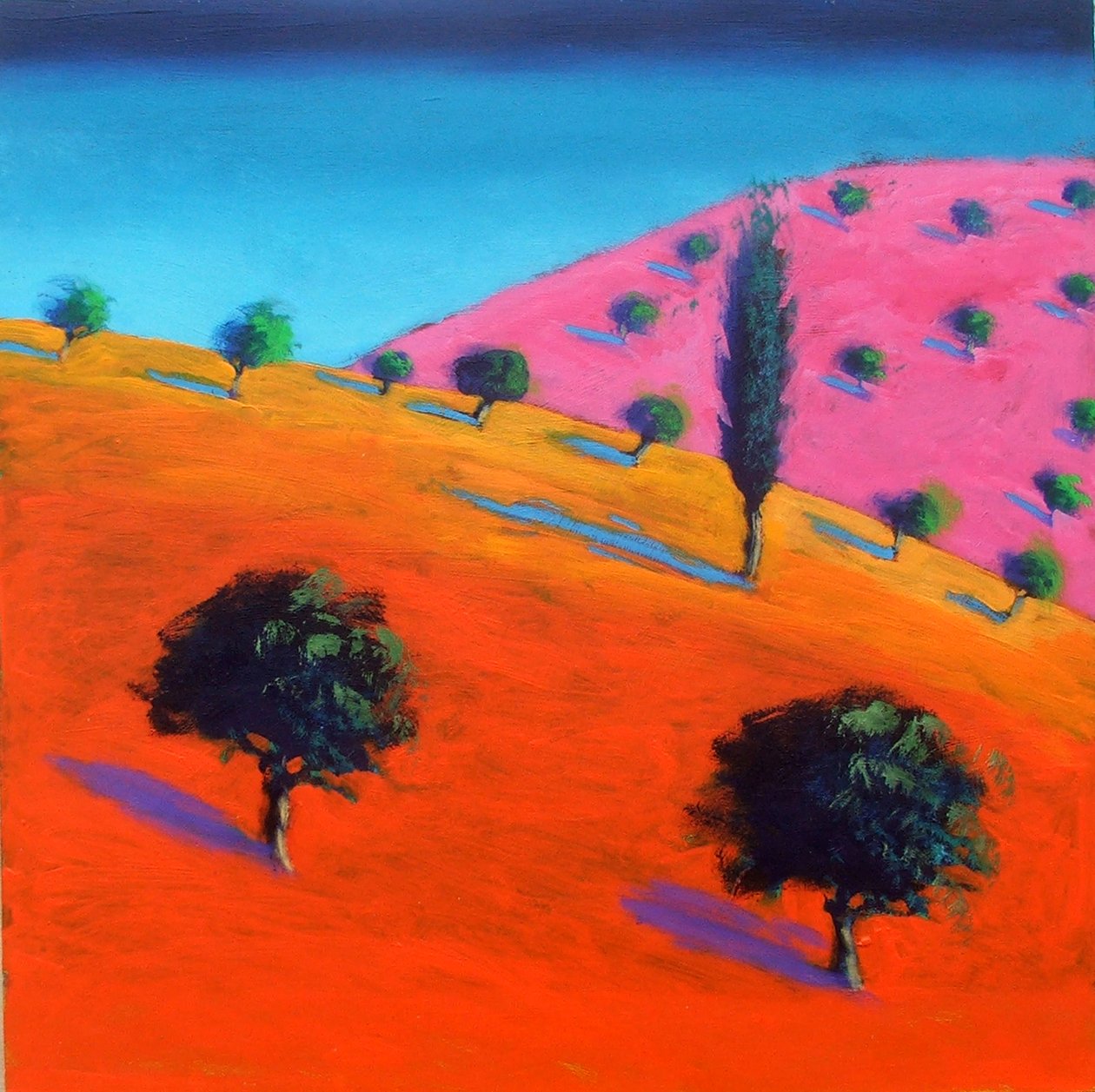 Pink Hill (akryl na karcie) autorstwa Paul Powis