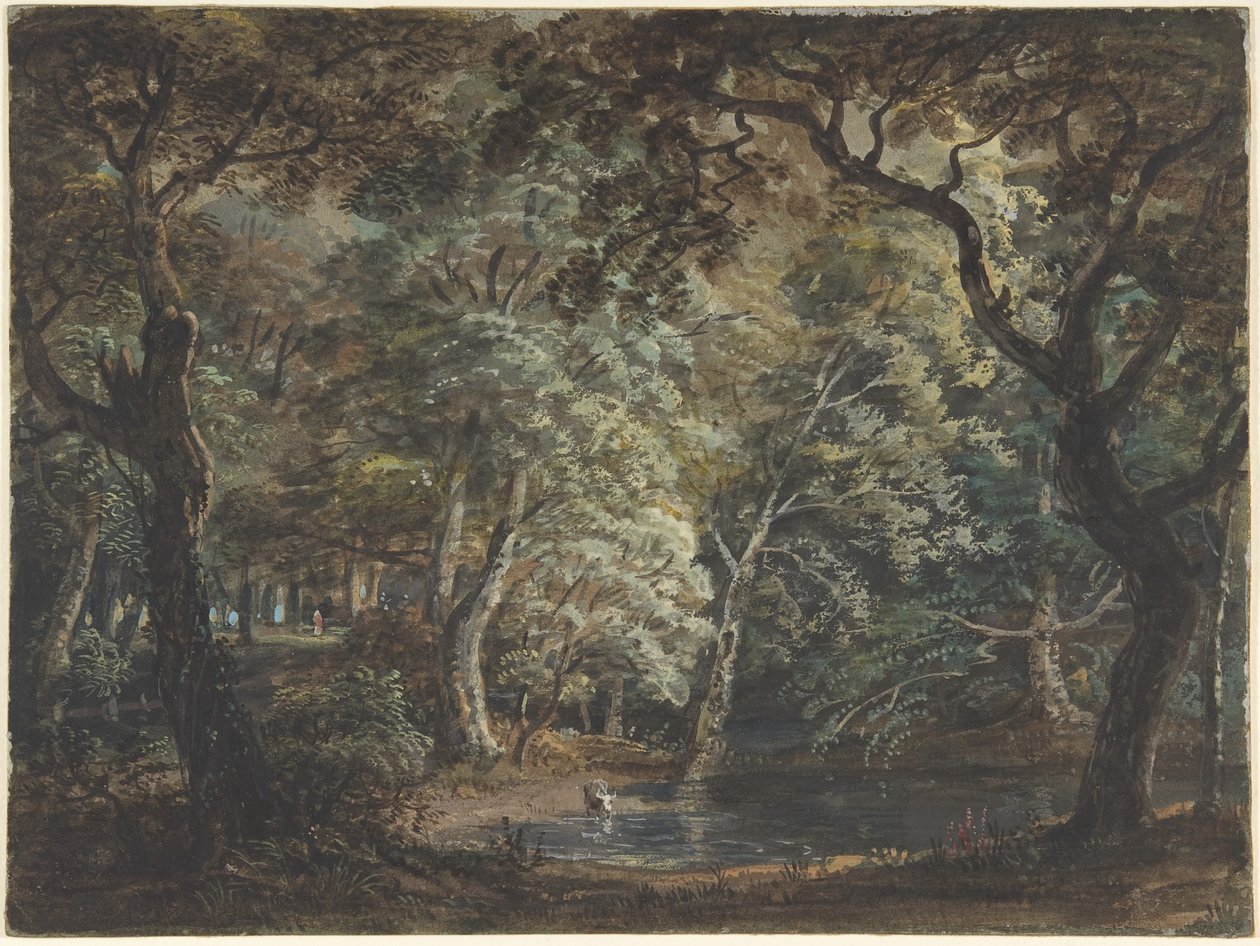 Windsor Great Park, ok. 1790-99 (akwarela) autorstwa Paul Sandby