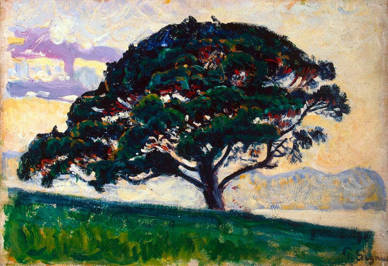 Duża sosna, Saint-Tropez, 1892-1893. autorstwa Paul Signac