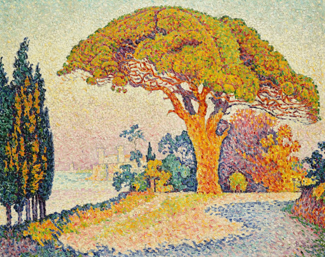 Sosny w Bertaud, Saint-Tropez autorstwa Paul Signac