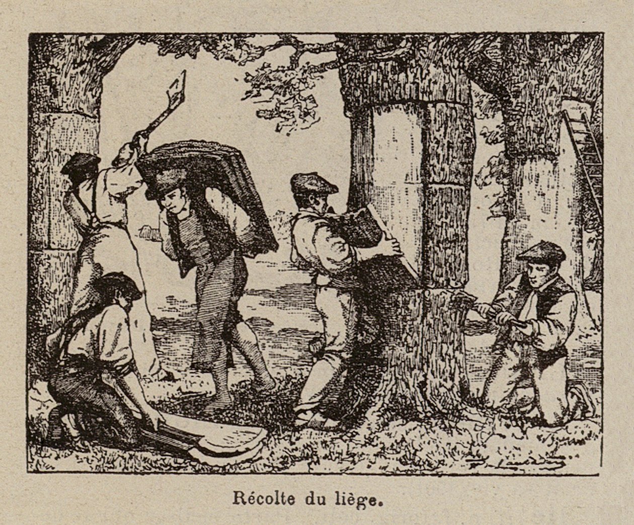  autorstwa Paul de Laubadere
