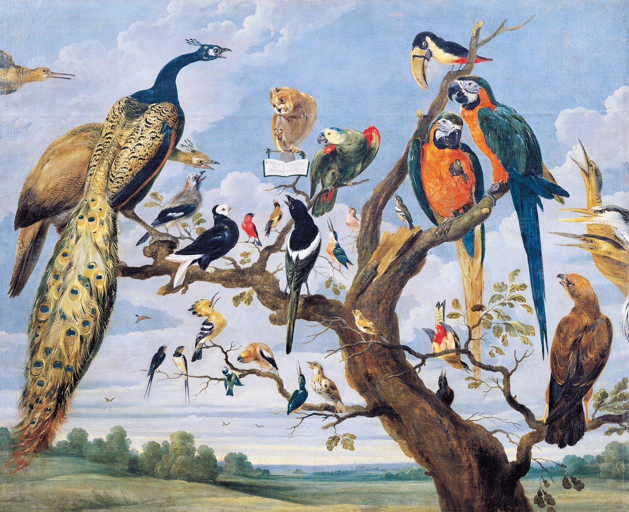 Koncert ptaków, Paul de Vos (ok. 1591-1678), Holandia autorstwa Paul De Vos