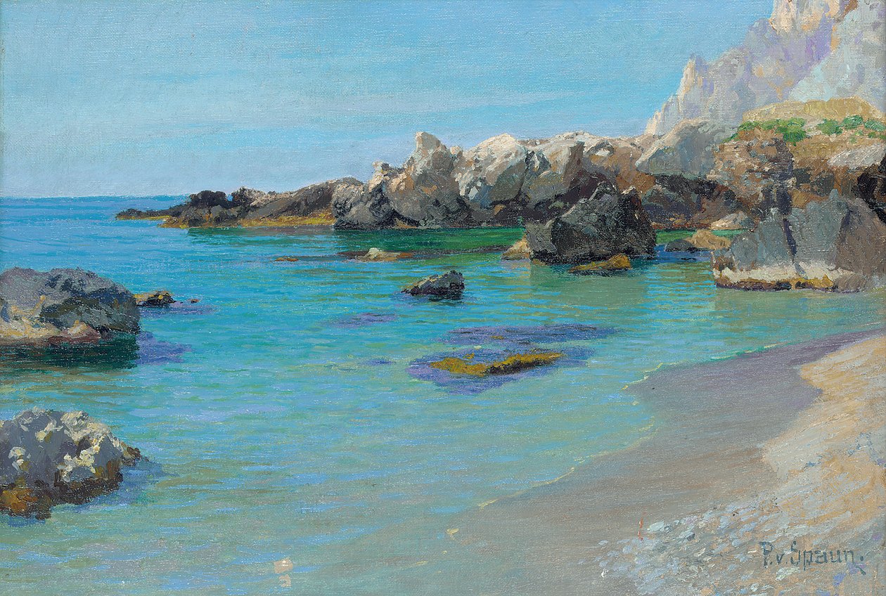 Na wybrzeżu Capri (olej na płótnie) autorstwa Paul von Spaun