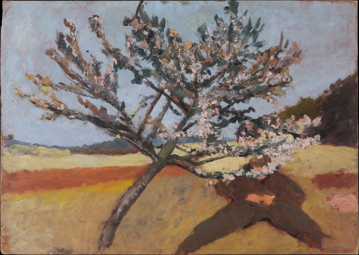 Mann unter einem blühenden Baum liegend autorstwa Paula Modersohn-Becker
