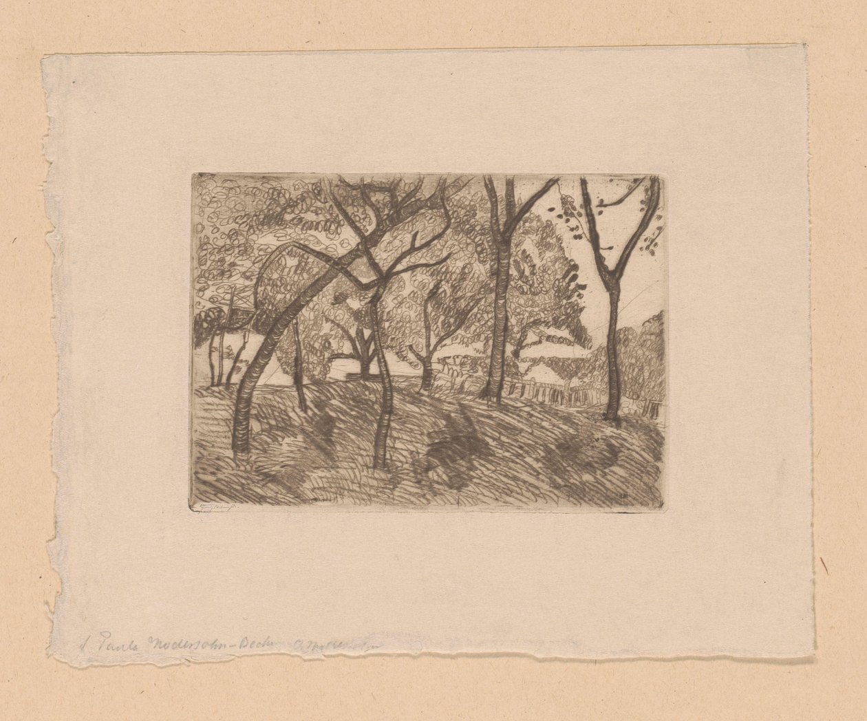 leśny widok autorstwa Paula Modersohn Becker (signed by artist)