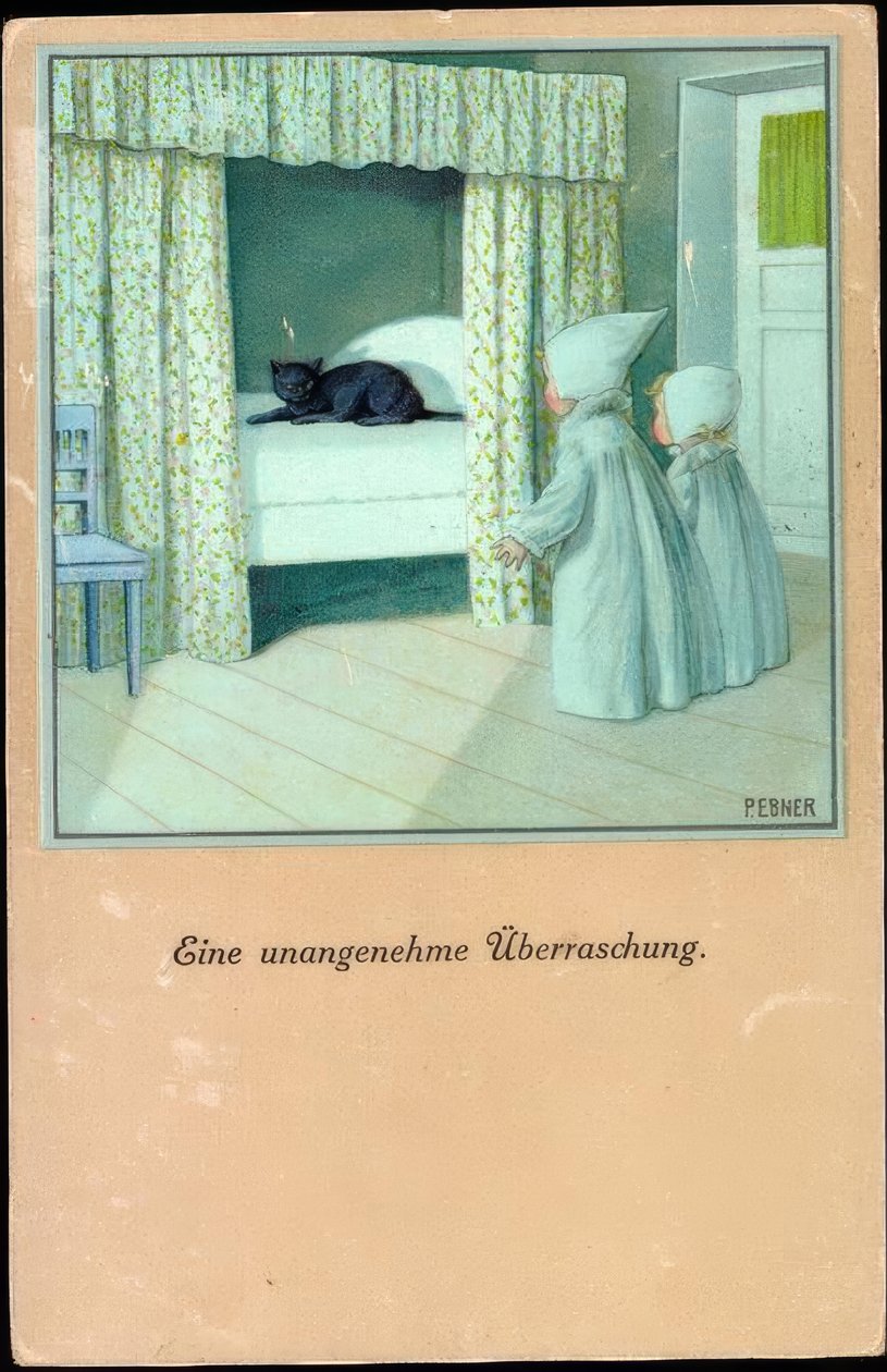 Nieprzyjemna niespodzianka autorstwa Pauli Ebner
