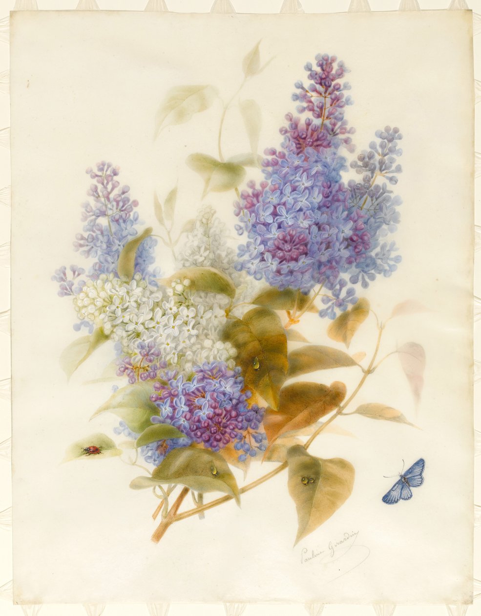 Spray of Lilac (wc i farba do ciała na welinie, nałożony na uchwyt na karty) autorstwa Pauline Gerardin