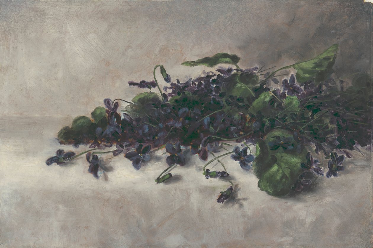 Fiołki, ca. 1890. autorstwa Pauline Powell Burns