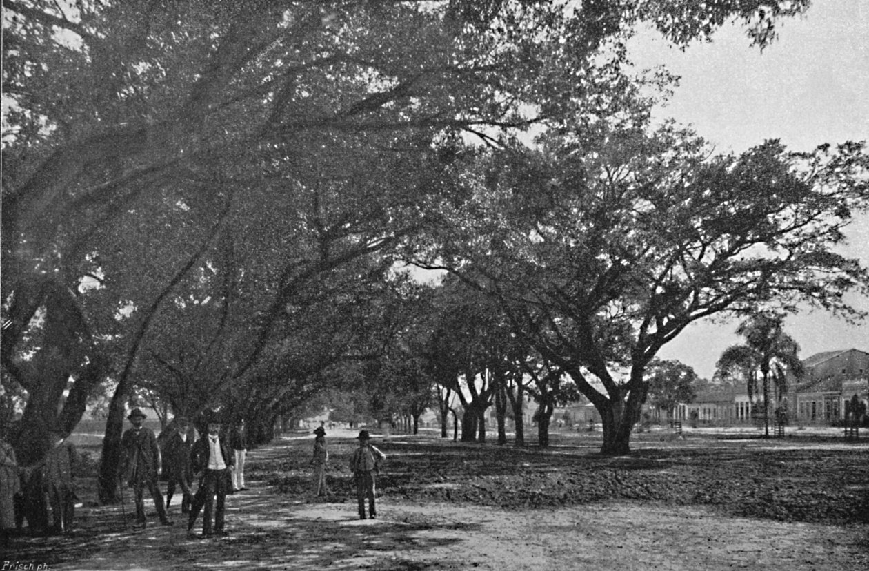 Avenida de Tiradentes, 1895 autorstwa Paulo Kowalsky