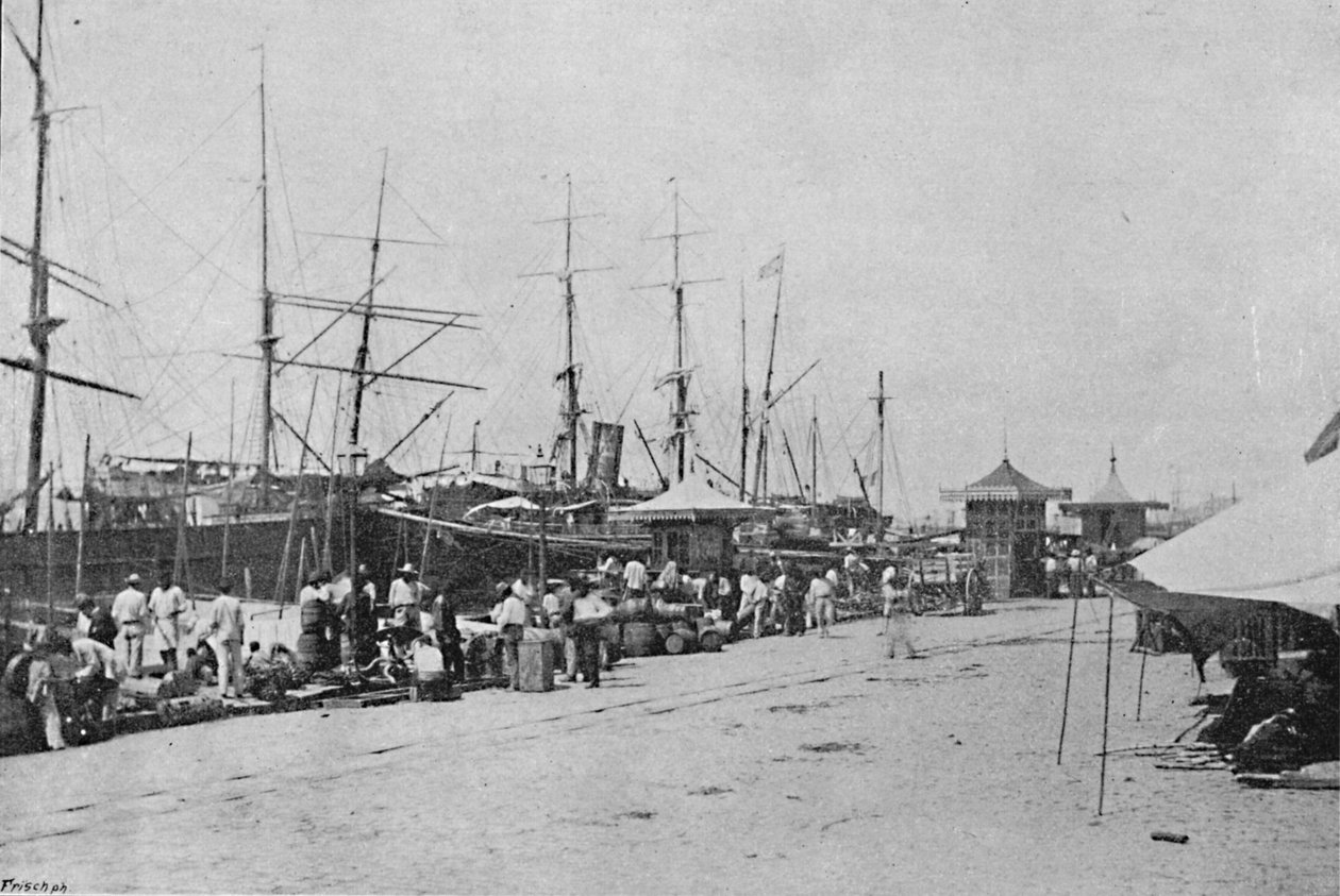 Os Que de Santos, Santos Quayside, 1895 autorstwa Paulo Kowalsky