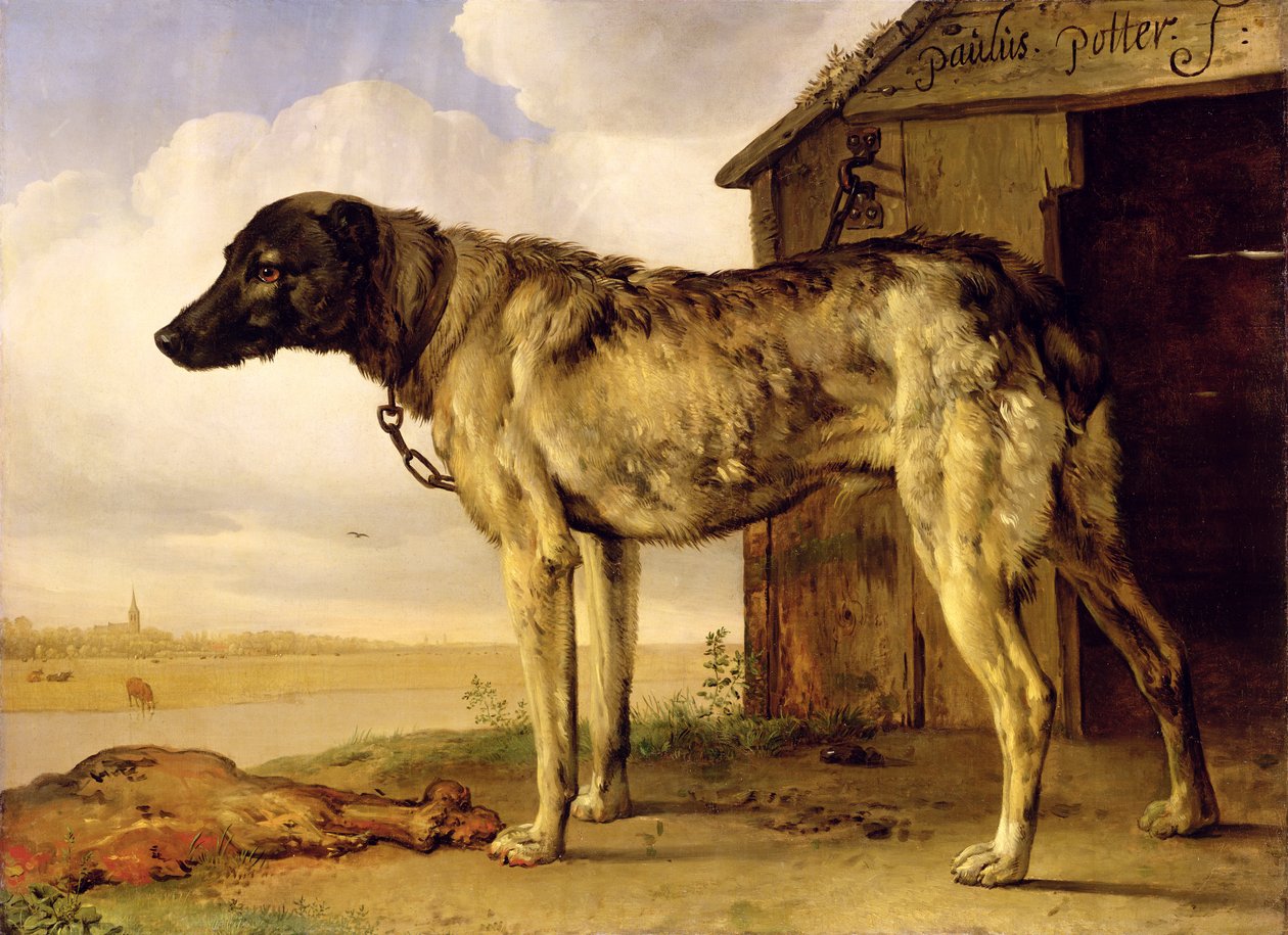 Pies na łańcuchu, 1653-4 autorstwa Paulus Potter