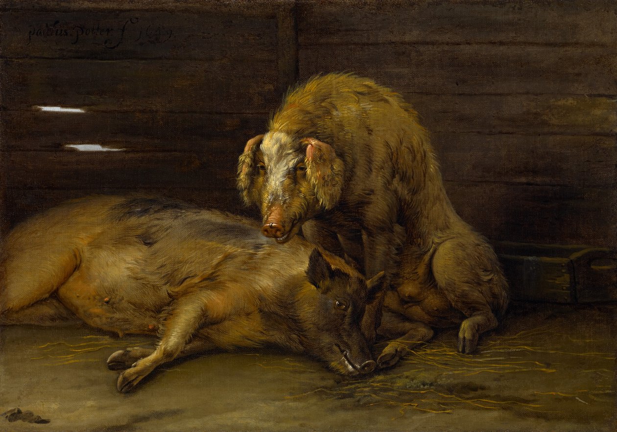 Dwie świnie w chlewie, 1649 autorstwa Paulus Potter