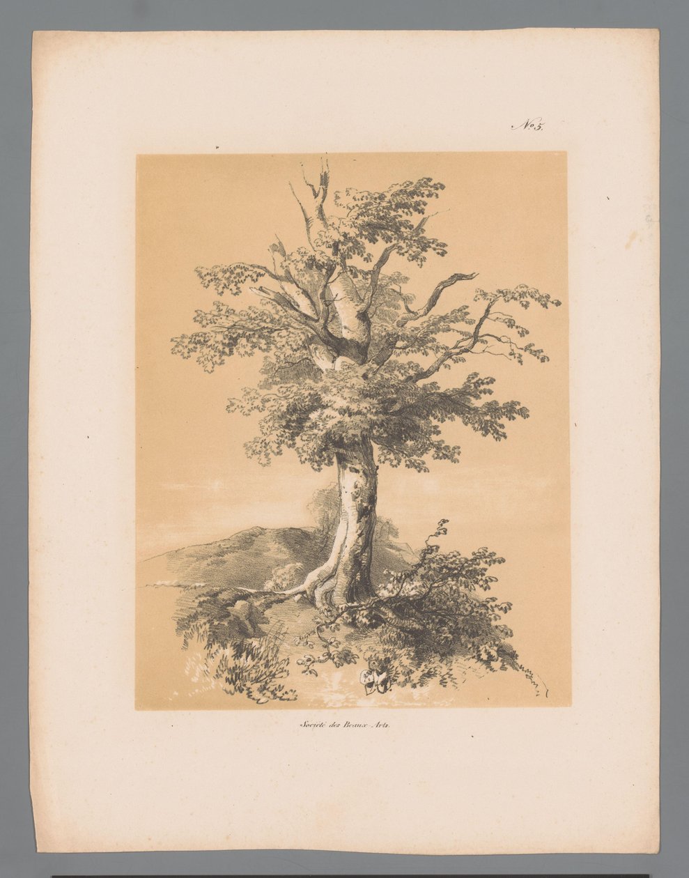 Bum Malownicze twarze Paulusa Lautersa (tytuł serii) Etrennes pittoresques pour 1839, autorstwa Lautersa (tytuł serii) autorstwa Paulus Lauters