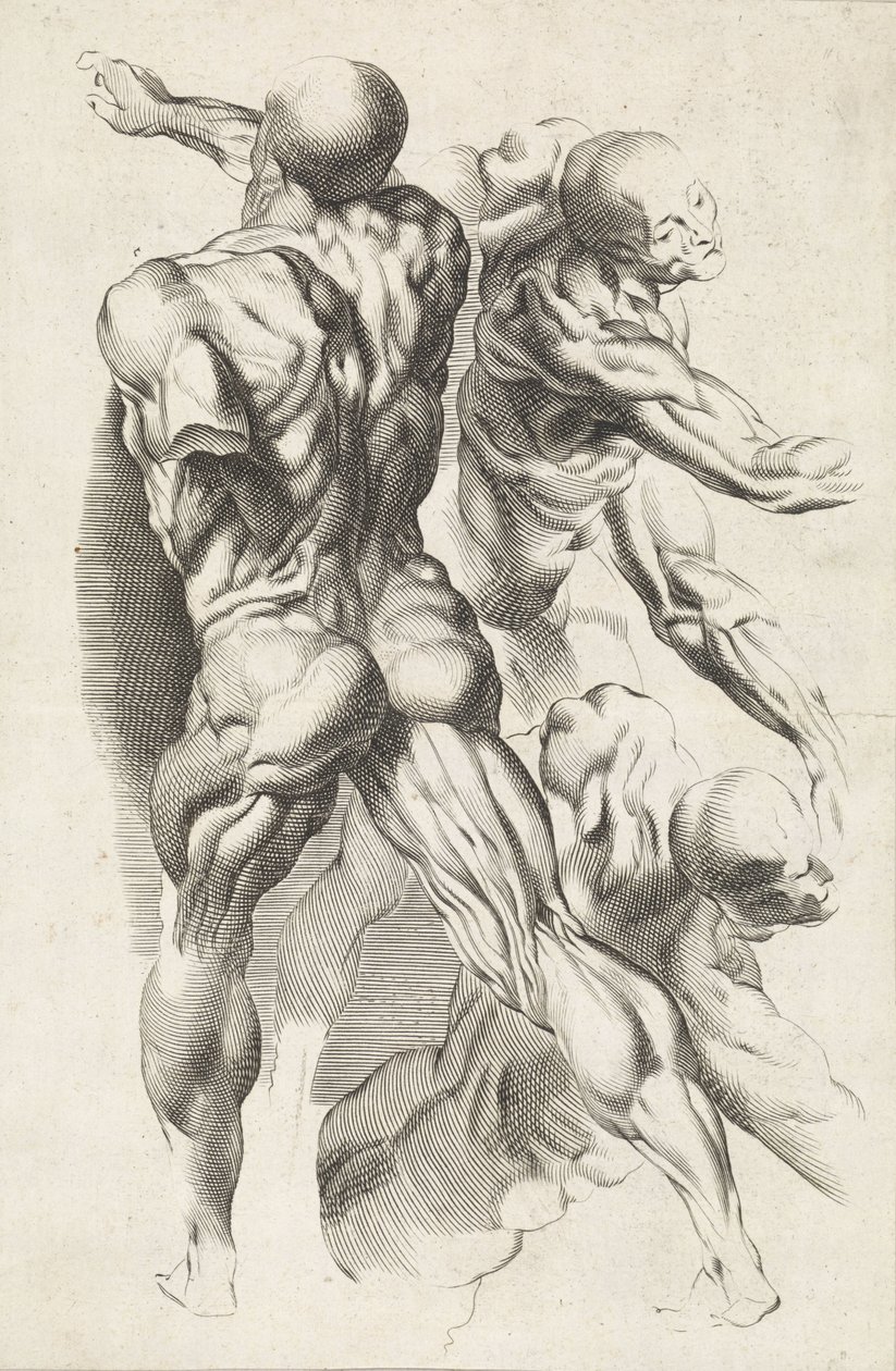 Studium anatomiczne trzech postaci z wyciągniętymi ramionami Książka rysunkowa Petera Paula Rubensa (tytuł serii) autorstwa Paulus Pontius