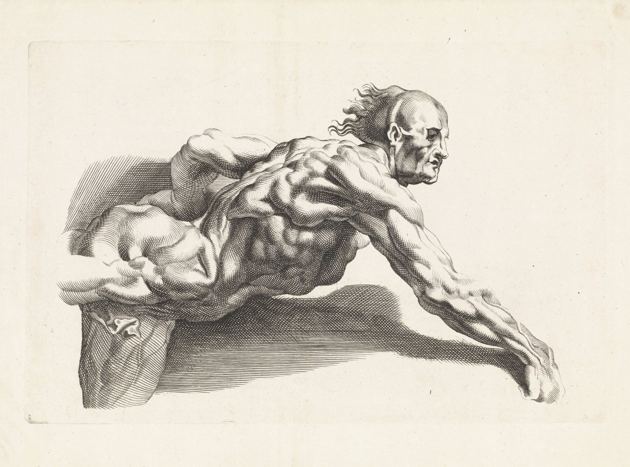 Studium anatomiczne chudego mężczyzny Książka rysunkowa Petera Paula Rubensa (tytuł serii) autorstwa Paulus Pontius