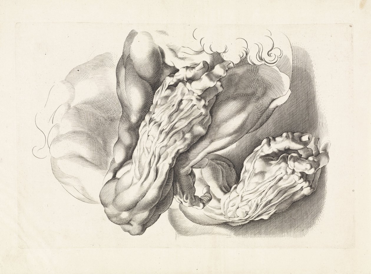 Badania anatomiczne broni Książka rysunkowa Petera Paula Rubensa (tytuł serii) autorstwa Paulus Pontius