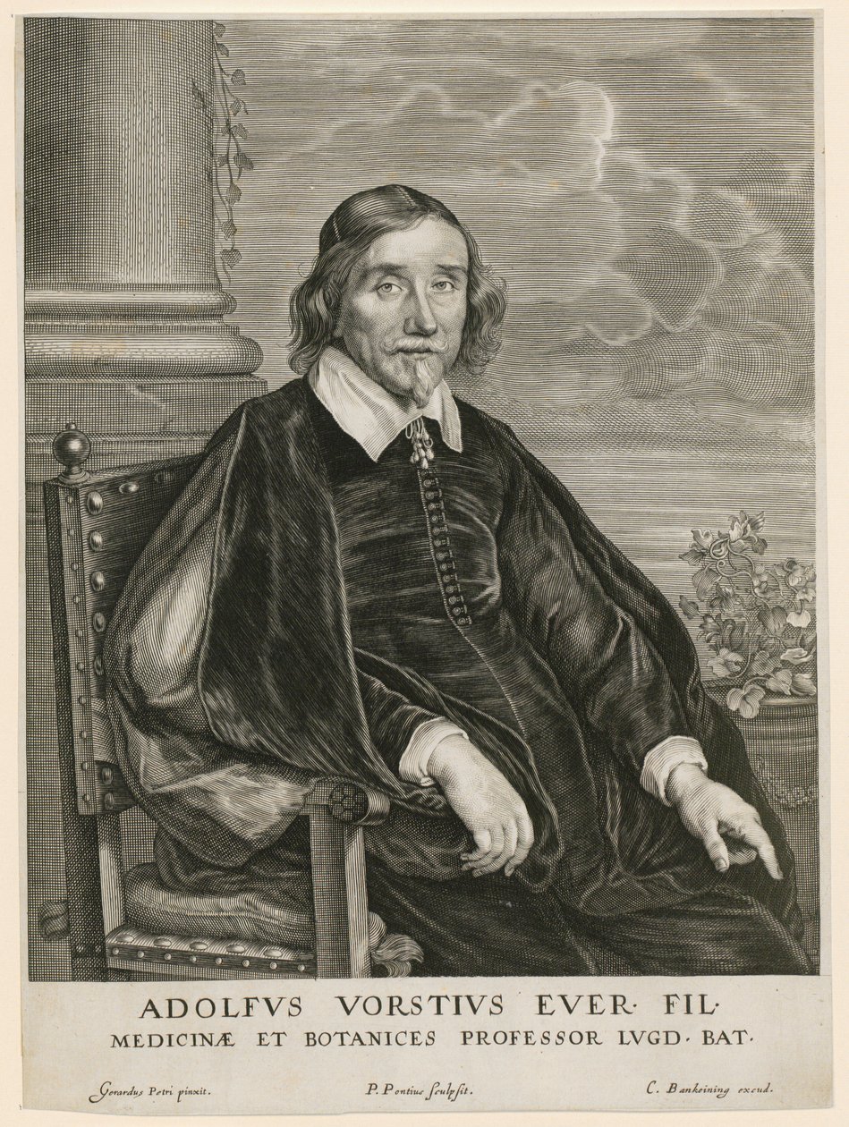 Portret Adolpha Vorsta, profesora w Lejdzie autorstwa Paulus Pontius