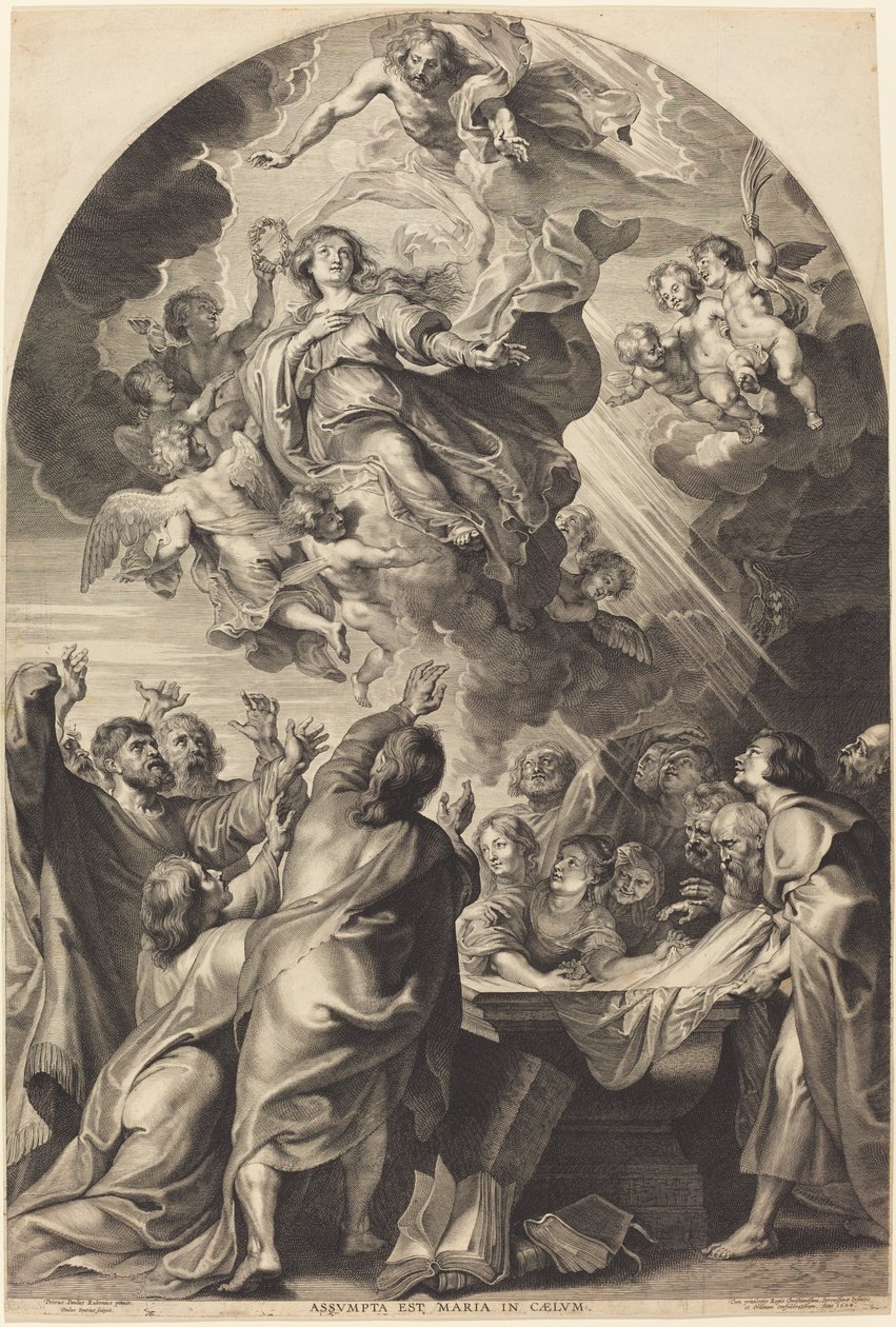 Wniebowzięcie Dziewicy autorstwa Paulus Pontius, after Sir Peter Paul Rubens