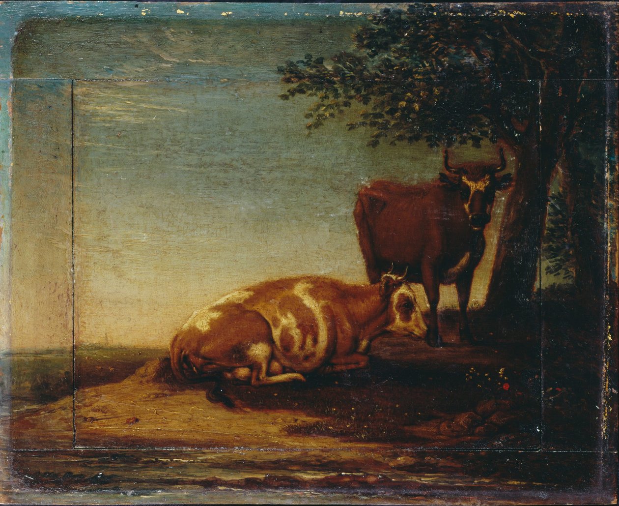 Vieh autorstwa Paulus Potter