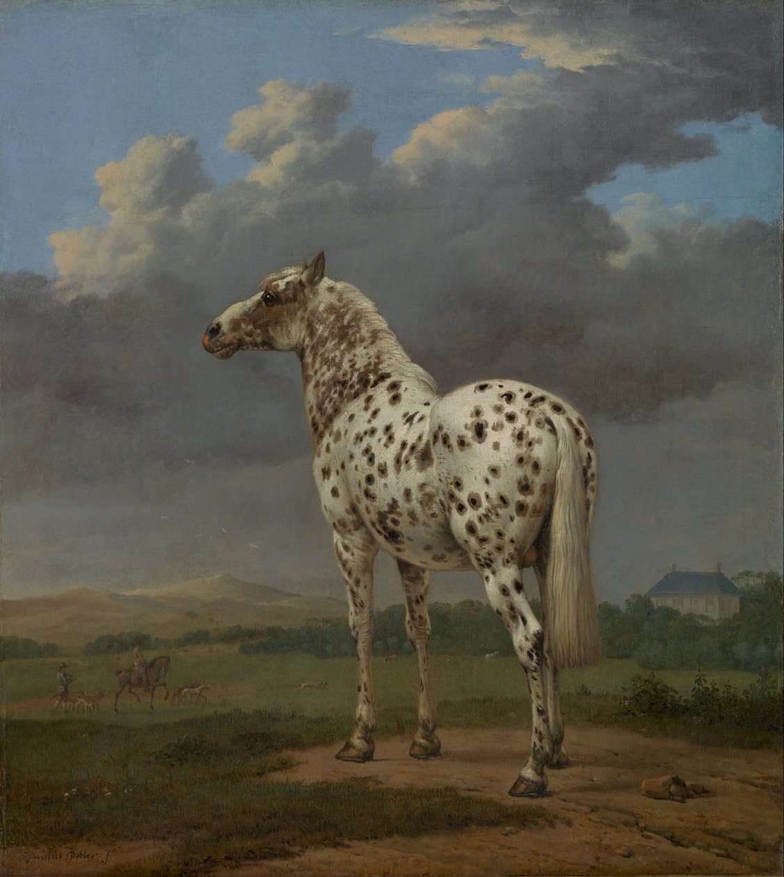Koń łaciaty, ok. 1654 autorstwa Paulus Potter