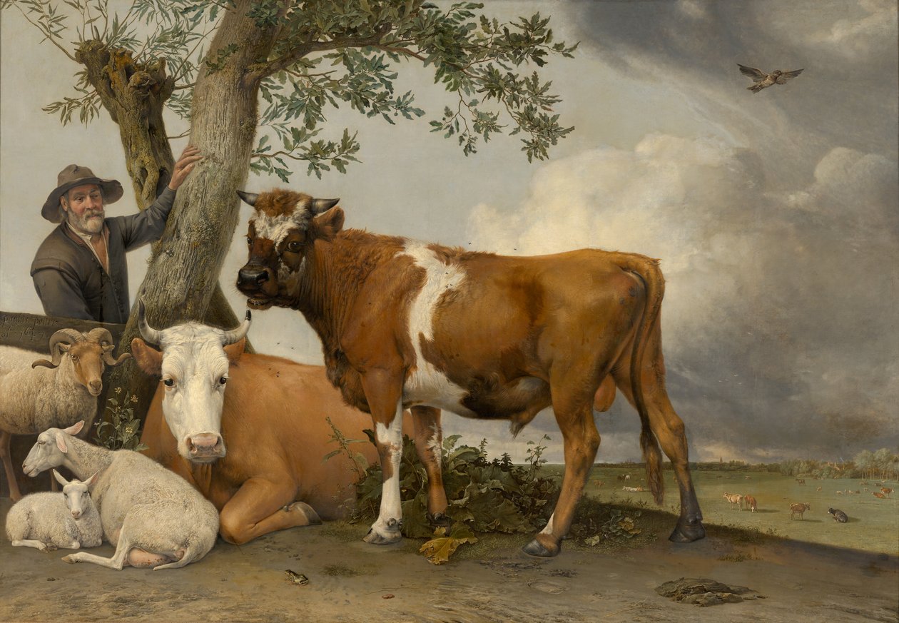 Byk autorstwa Paulus Potter