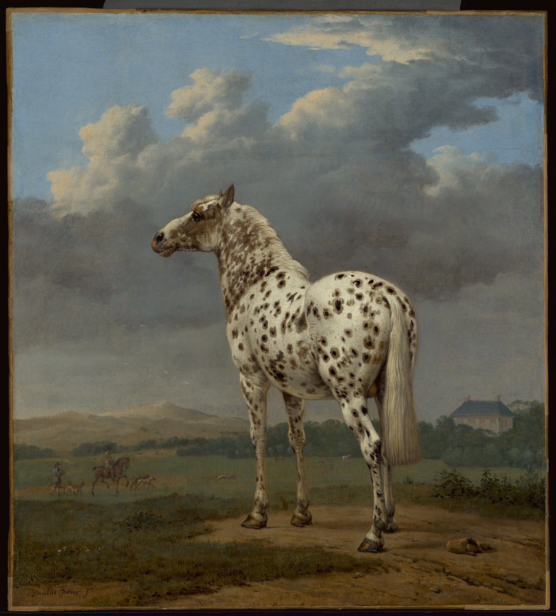 Koń "Piebald" autorstwa Paulus Potter