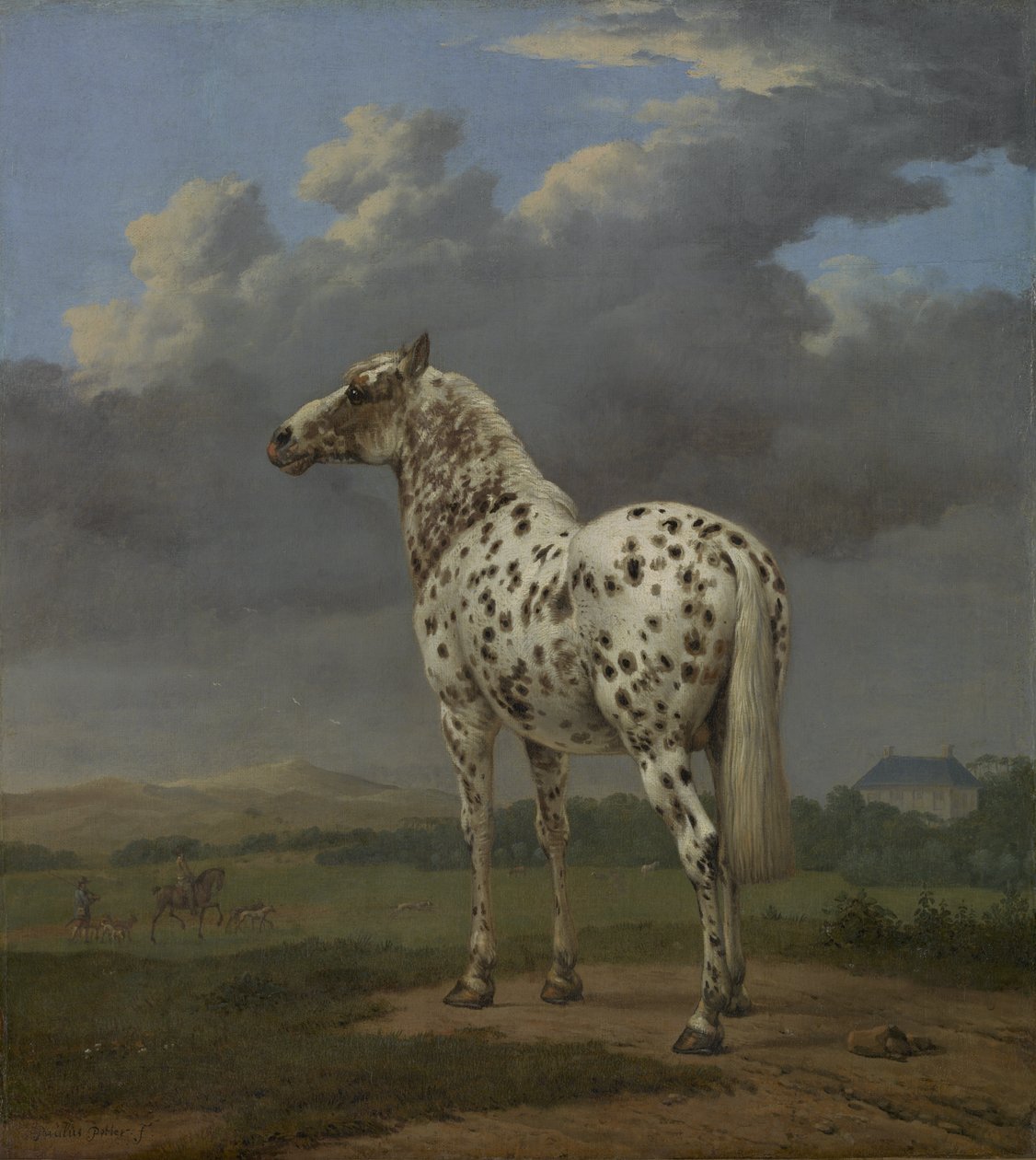 Koń "Piebald", ok.1650-4 (olej na płótnie) autorstwa Paulus Potter