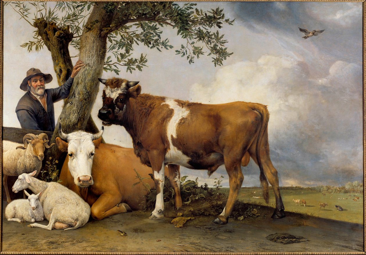 Młody byk Pasterz i jego bydło, belier, baranek, krowa i byk. Obraz Paula Pottera (1625-1654) 1647 Nd. 2,36x3,39 m Haga. Mauritshuis autorstwa Paulus Potter