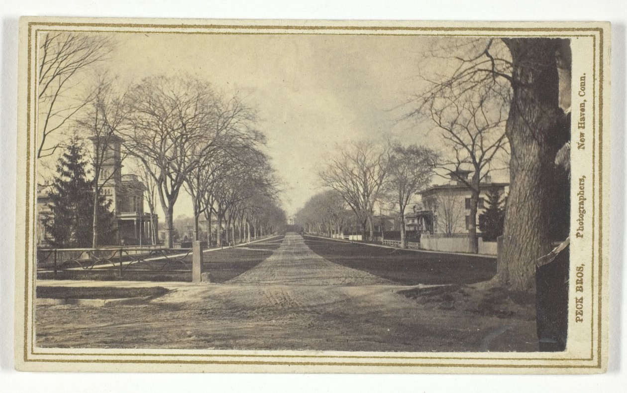 Hillhouse Avenue autorstwa Peck Brothers