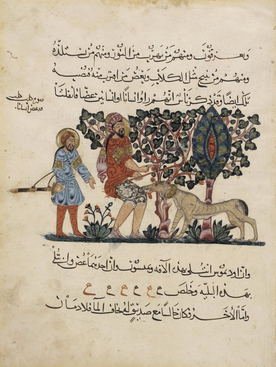 Folio z arabskiego przekładu Materia Medica autorstwa Dioscorides autorstwa Pedanius Dioscorides
