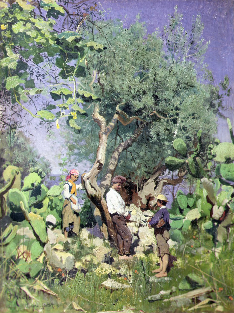 Zbiory oliwek autorstwa Peder Monsted