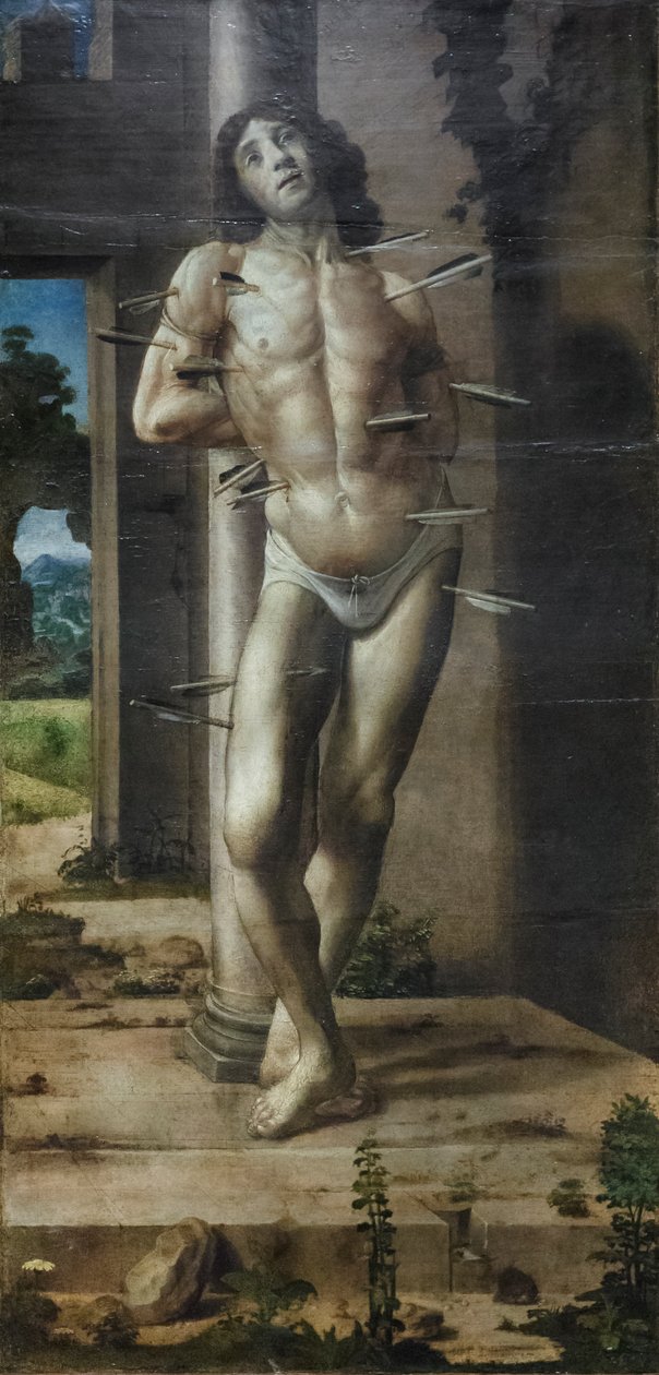 Święty Sebastian, ok. 1476-82 (olej na płycie) autorstwa Pedro Berruguete
