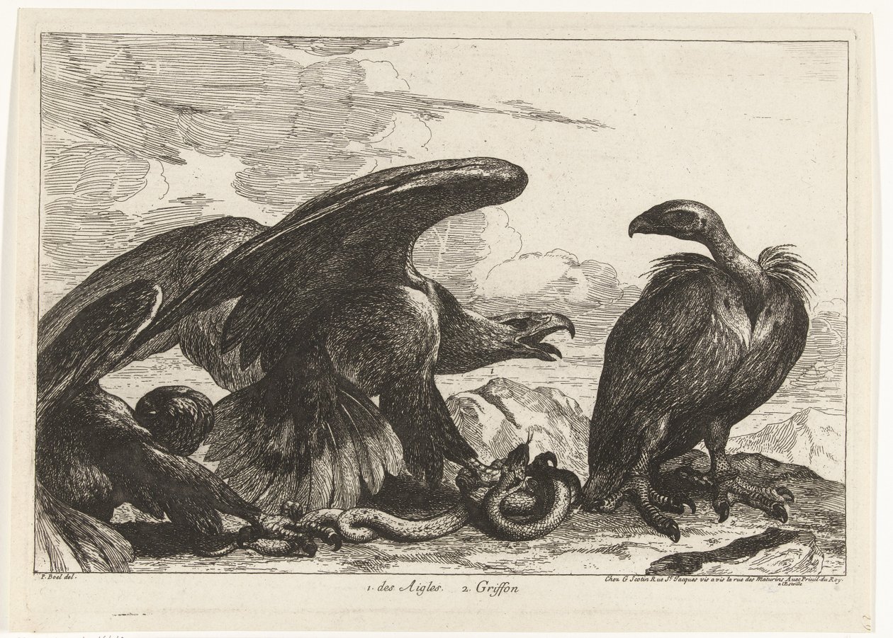 Sęp i orzeł z wężem 1. des Aigles 2. Gryf (tytuł na obiekcie) Ptaki z Menażerii Wersalskiej (tytuł serii) autorstwa Peeter Boel (attributed to)
