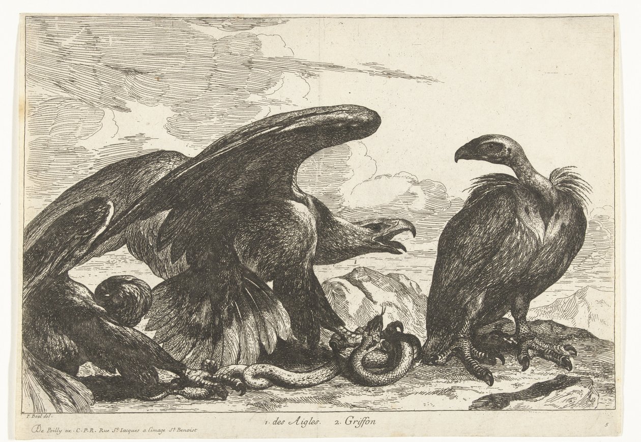 Sęp i orzeł z wężem 1. des Aigles 2. Gryf (tytuł na obiekcie) Ptaki z Menażerii Wersalskiej (tytuł serii) autorstwa Peeter Boel (attributed to)