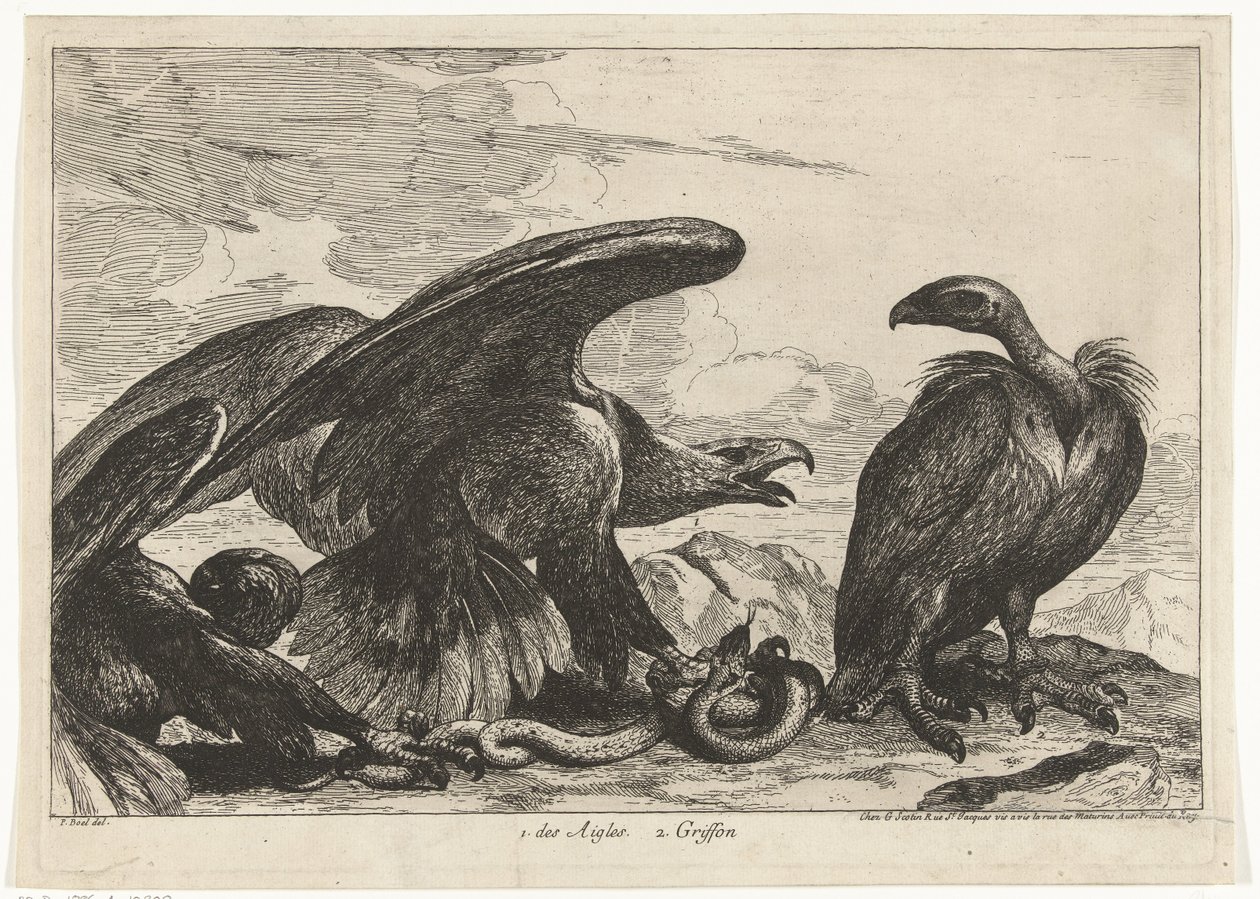 Sęp i orzeł z wężem 1. des Aigles 2. Gryf (tytuł na obiekcie) Ptaki z Menażerii Wersalskiej (tytuł serii) autorstwa Peeter Boel (attributed to)