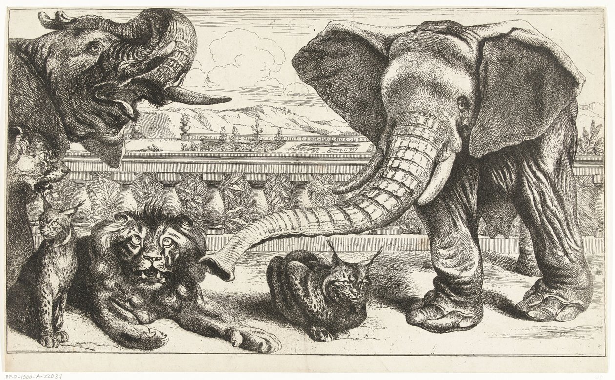 Słonie, lwy i rysie w ogrodach Wersalu autorstwa Peeter Boel (attributed to)