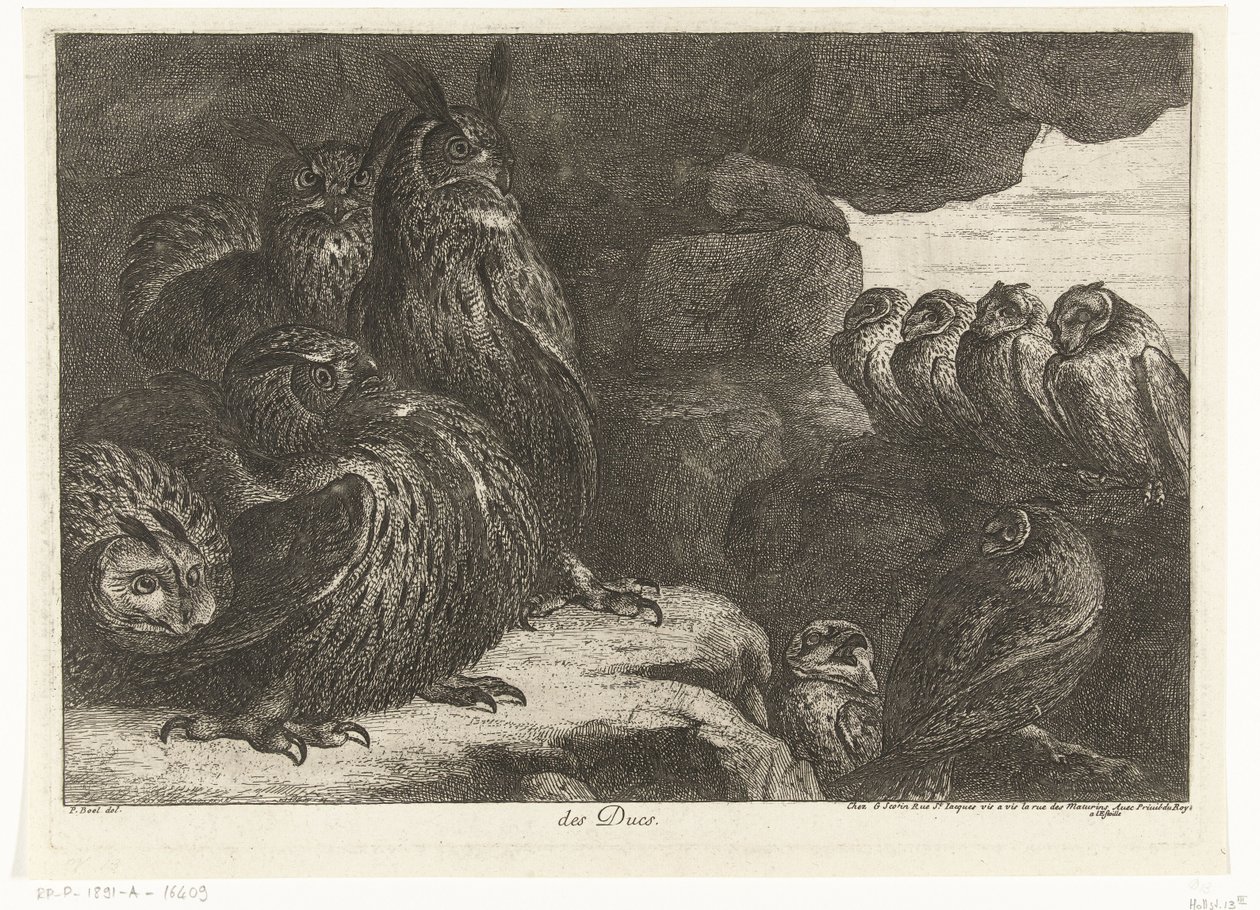 Sowy w jaskini des Ducs (tytuł na obiekcie) Ptaki z Menażerii Wersalskiej (tytuł serii) autorstwa Peeter Boel (attributed to)