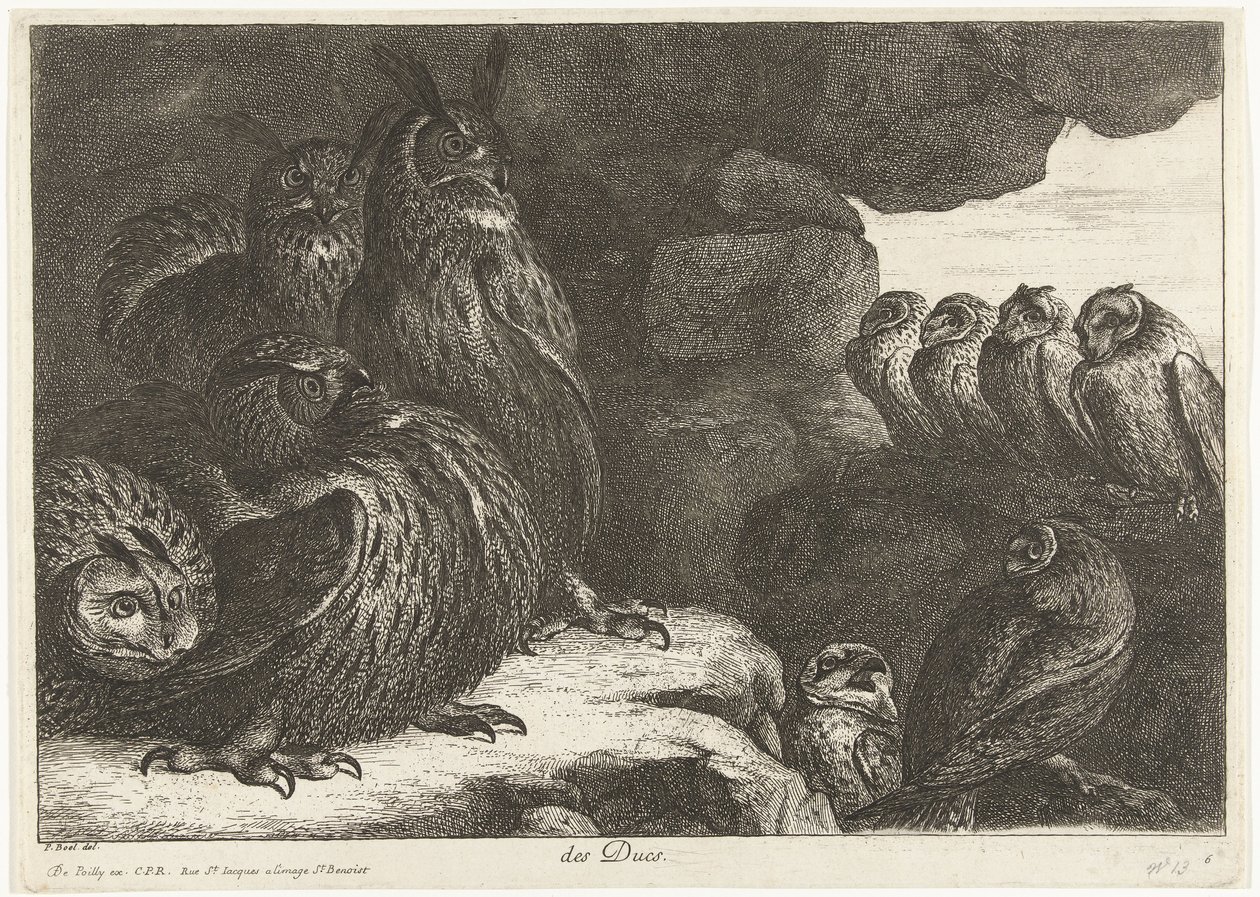Sowy w jaskini des Ducs (tytuł na obiekcie) Ptaki z Menażerii Wersalskiej (tytuł serii) autorstwa Peeter Boel (attributed to)