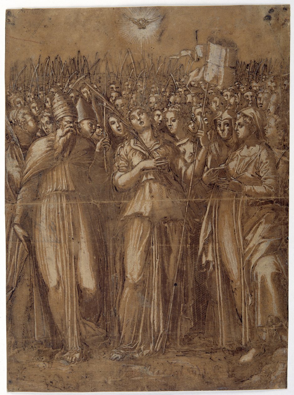 Św. Urszula z dziewicami męczennikami (pióro i brązowy atrament wzmocnione białym kolorem ciała na papierze spranego brązu) autorstwa Pellegrino (c.1460 1523) Aretusi