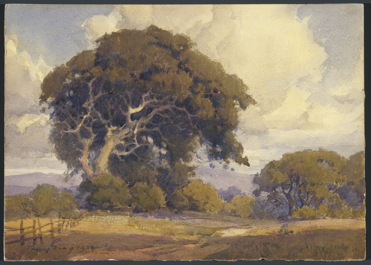 Wyblakły dąb autorstwa Percy Gray