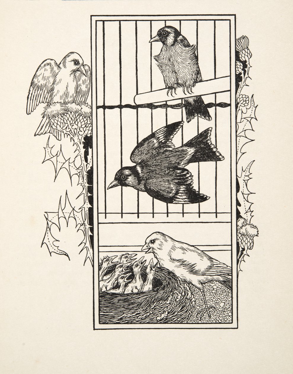 Charytatywny Kanarek, ze Sto anegdot zwierząt, wyd. 1924 autorstwa Percy J. Billingshurst