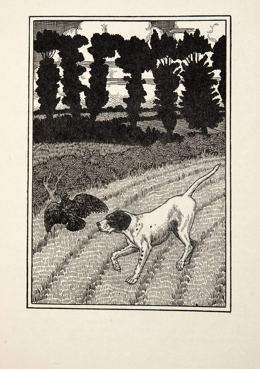 Oszukiwanie Fowlera, z Sto anegdot zwierząt, wyd. 1924 autorstwa Percy J. Billingshurst