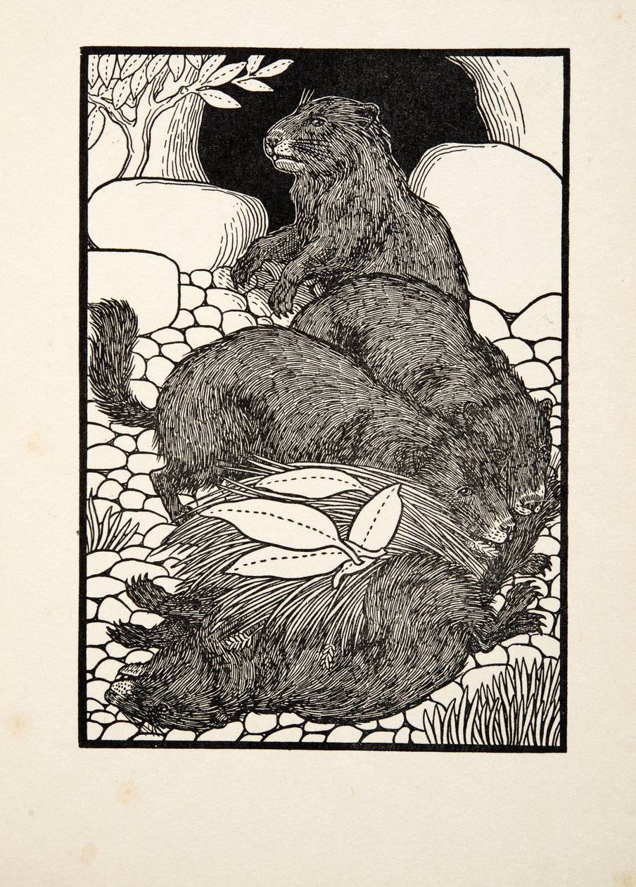 Podział Pracy, ze Sto anegdot zwierząt, wyd. 1924 autorstwa Percy J. Billingshurst