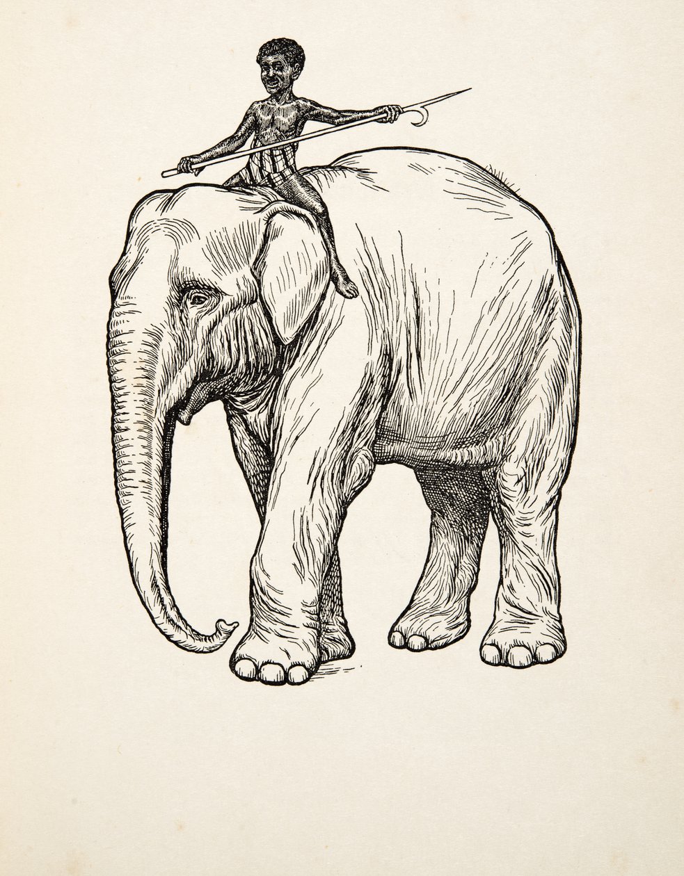 Wyrzuty sumienia, z „Stu anegdot zwierząt”, wyd. 1924 autorstwa Percy J. Billingshurst