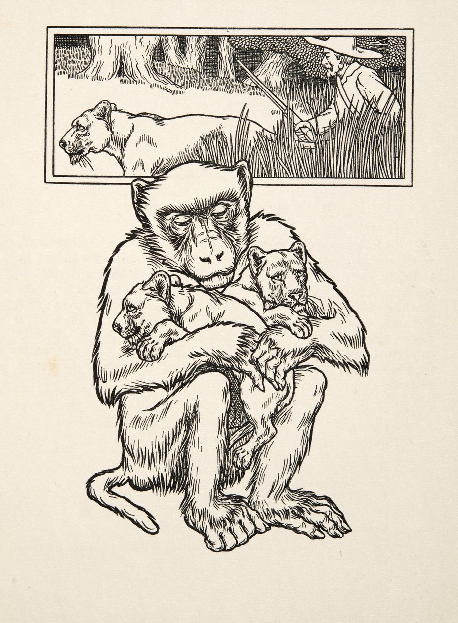 Soliciting Succour, z „Stu anegdot zwierząt”, wyd. 1924 (grawerowanie) autorstwa Percy J. Billingshurst