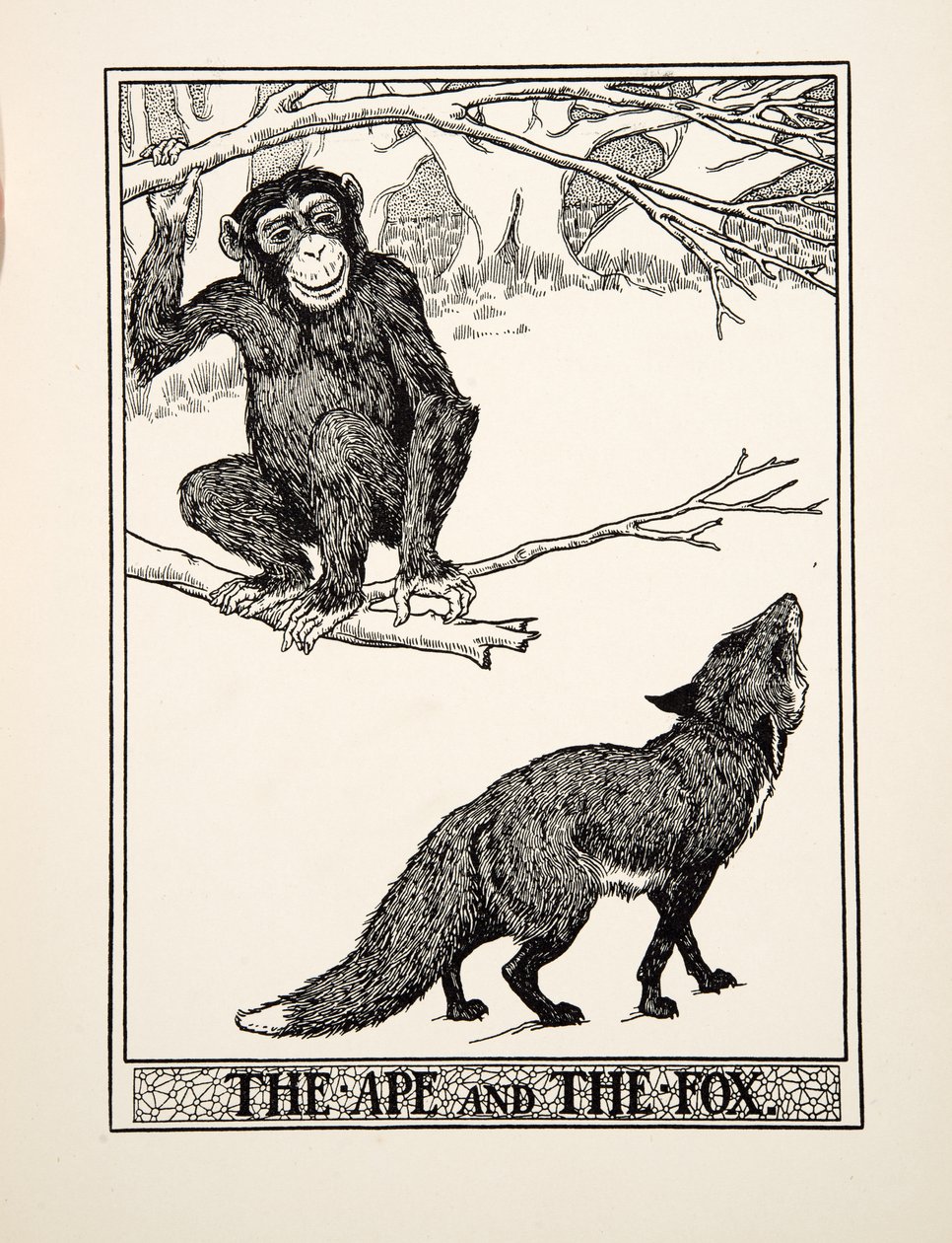 Małpa i lis, z Stu bajek Ezopa, wyd. 1903 (rycina) autorstwa Percy J. Billingshurst