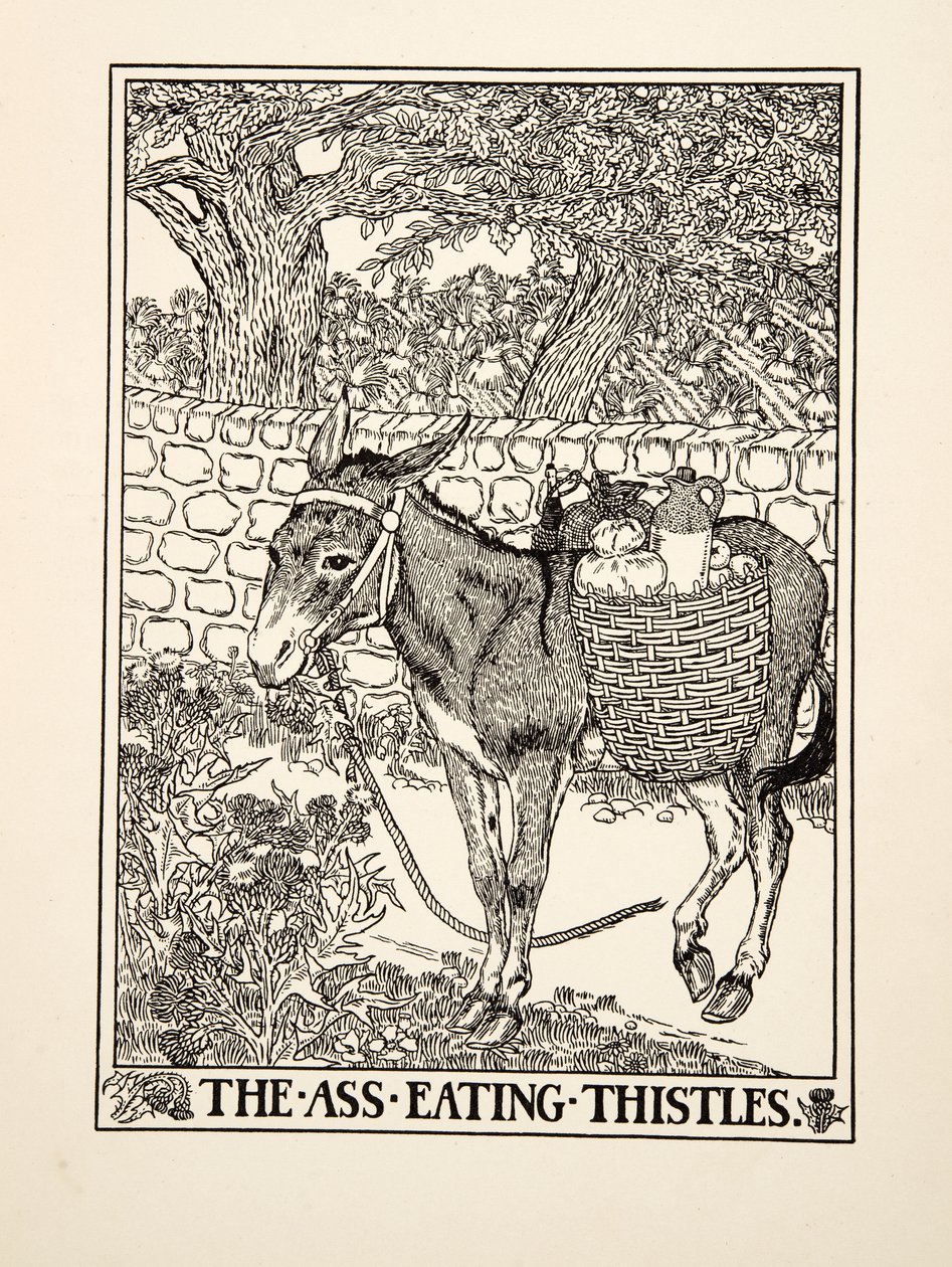 Osioł jedzący osty, z Stu bajek Ezopa, wyd. 1903 autorstwa Percy J. Billingshurst