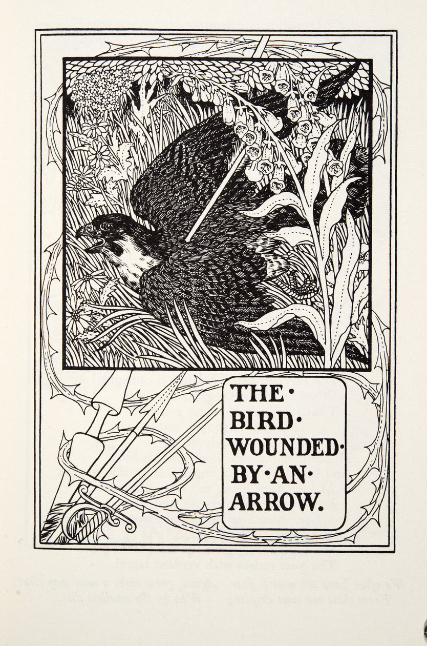 Ptak ranny strzałą, z Fontaine Fables, wyd. 1905 autorstwa Percy J. Billingshurst