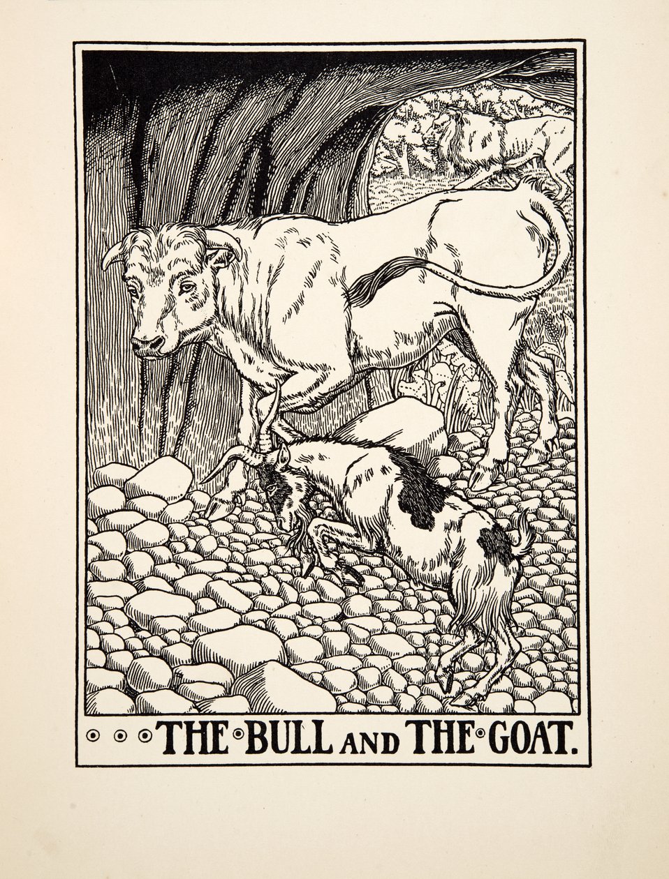Byk i koza , z Stu bajek Ezopa, wyd. 1903 (rycina) autorstwa Percy J. Billingshurst
